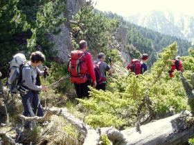 photo coins arrondis